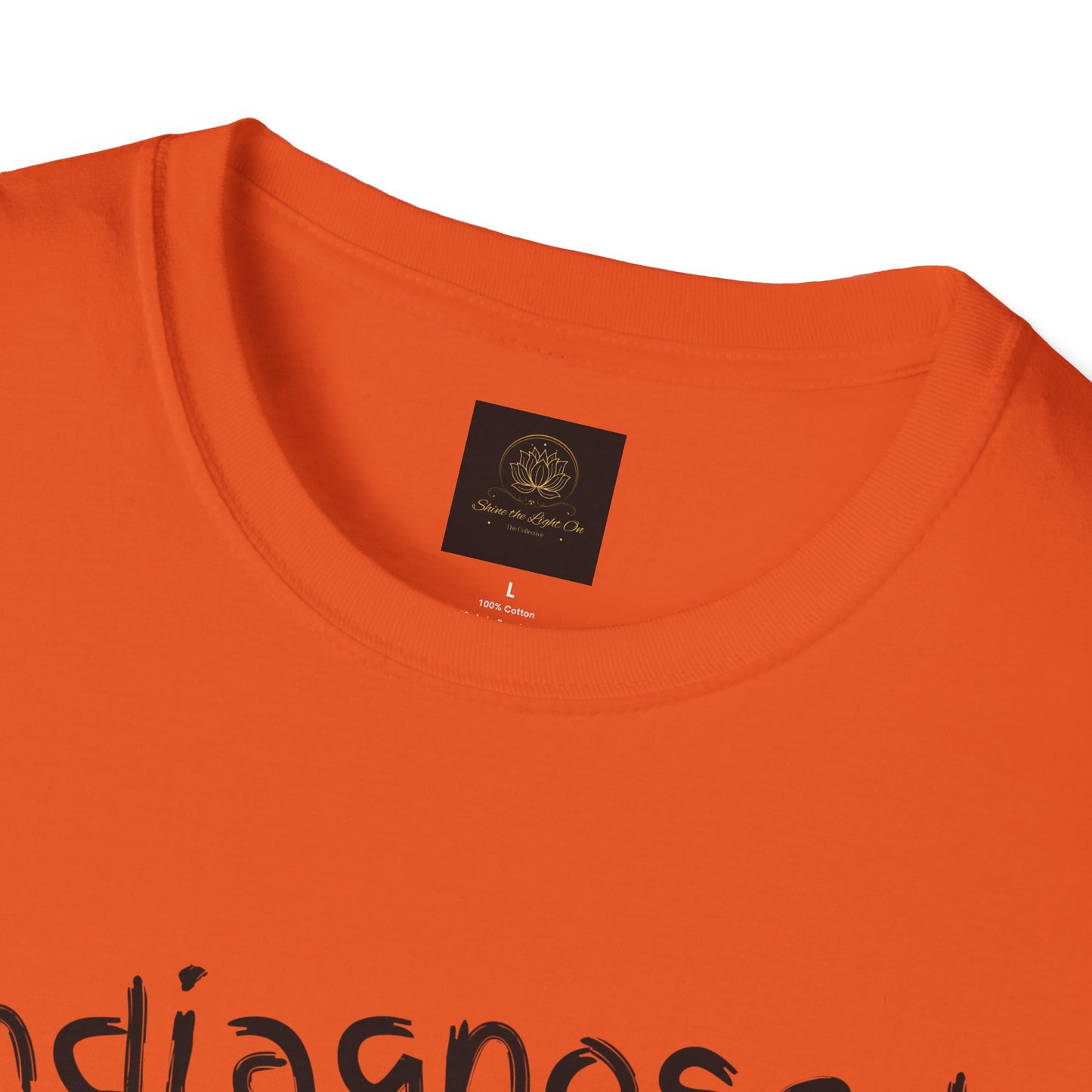 Unisex Softstyle T-Shirt 'Undiagnosed But Something Ain't Right'